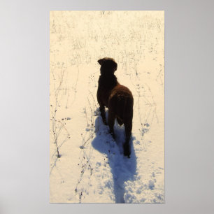 Chessie-Poster Poster