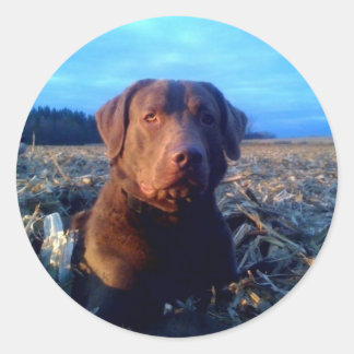 Chessie Ronde Sticker