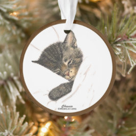 Chessie the Kitten Acrylornament Ornament