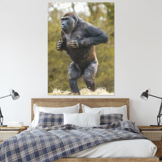 Chest Beating Gorilla Canvas Afdruk (Insitu (Slaapkamer))