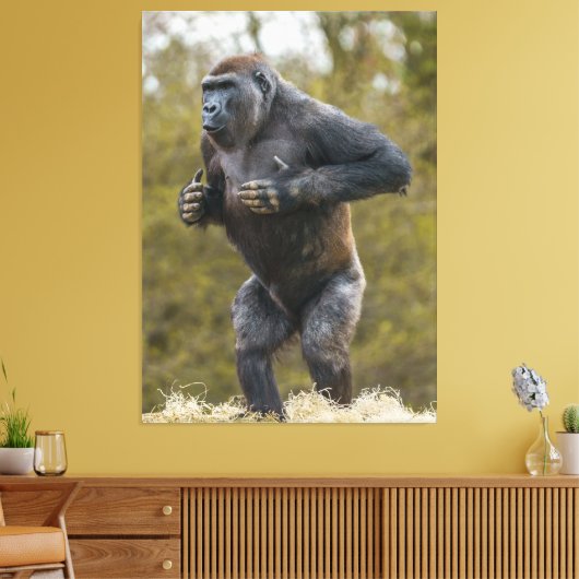 Chest Beating Gorilla Canvas Afdruk (Insitu (Woonkamer))