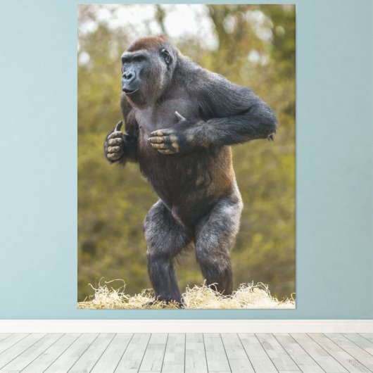 Chest Beating Gorilla Canvas Afdruk (Insitu (Houten vloer))