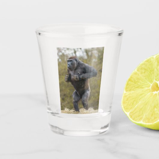 Chest Beating Gorilla Shot Glas (Voorkant)