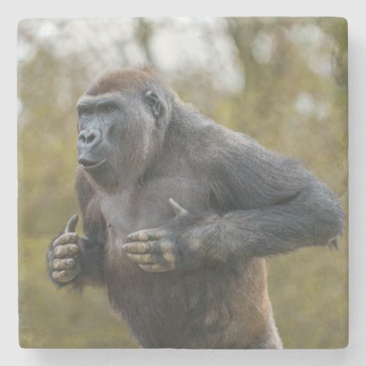 Chest Beating Gorilla Stenen Onderzetter (Voorkant)