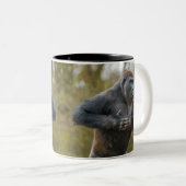 Chest Beating Gorilla Tweekleurige Koffiemok (Voorkant rechts)