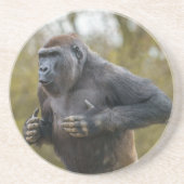 Chest Beating Gorilla Zandsteen Onderzetter (Voorkant)