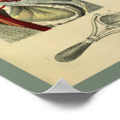 Chest Heart Lungs Anatomy Medical Art Print (Hoek)