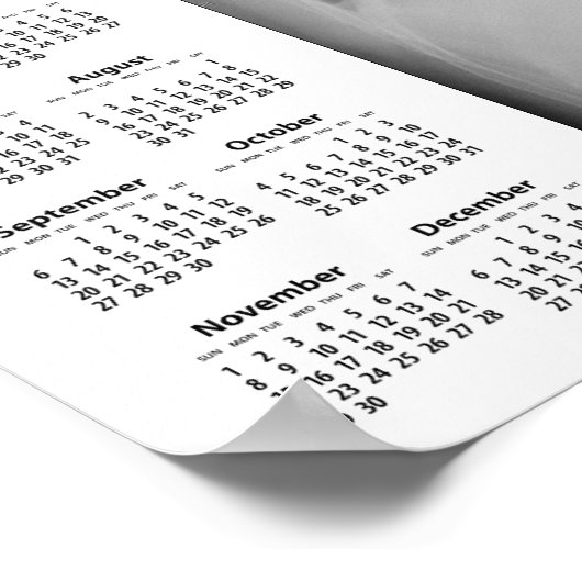 Chest X Ray agenda ~ Poster (Hoek)