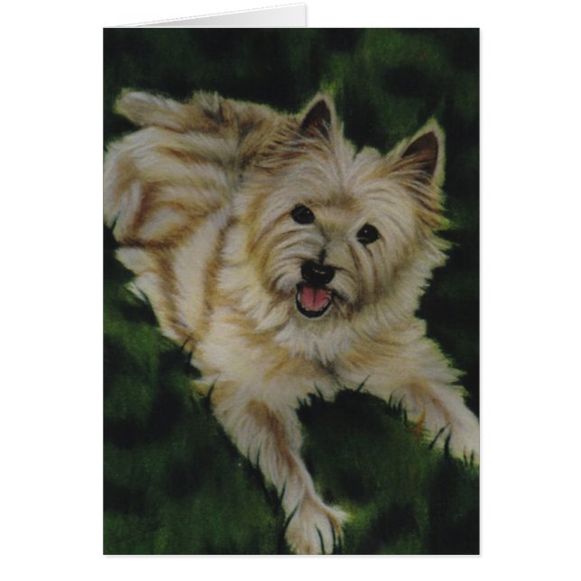 "Chester" (Voorkant)