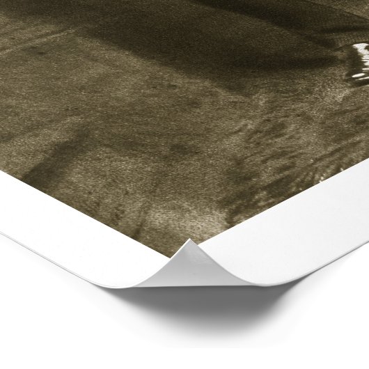 Chester A. Arthur, 21ste President van de Verenigd Poster (Hoek)