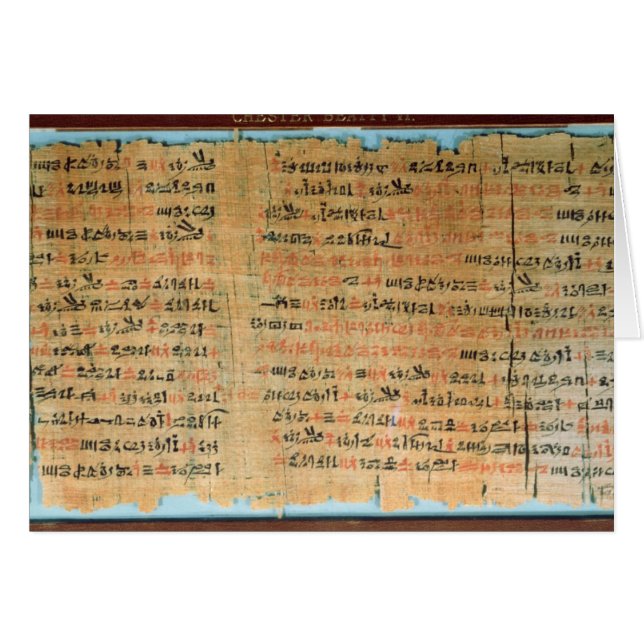 Chester Beatty Medical Papyrus (Voorkant Horizontaal)