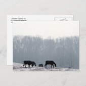 Chester County, Pa Briefkaart (Voorkant / Achterkant)