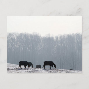 Chester County, Pa Briefkaart