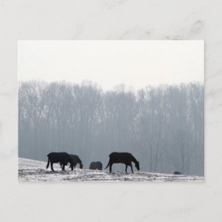 Chester County, Pa Briefkaart