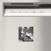 Chester Creek Magneet (Insitu (Vaatwasser))