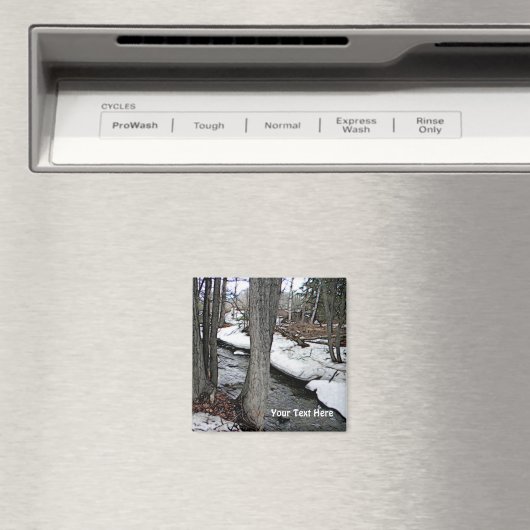 Chester Creek Magneet (Insitu (Vaatwasser))