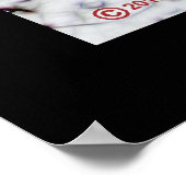 Chester Creek Poster (Hoek)