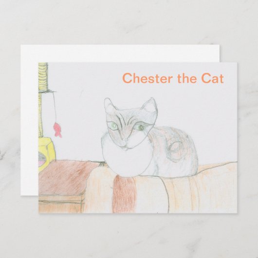 Chester de kat briefkaart (Voorkant / Achterkant)
