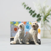 Chester en Lilly - GoldenDoodle -7 Briefkaart (Staand voorkant)