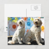 Chester en Lilly - GoldenDoodle -7 Briefkaart (Voorkant / Achterkant)