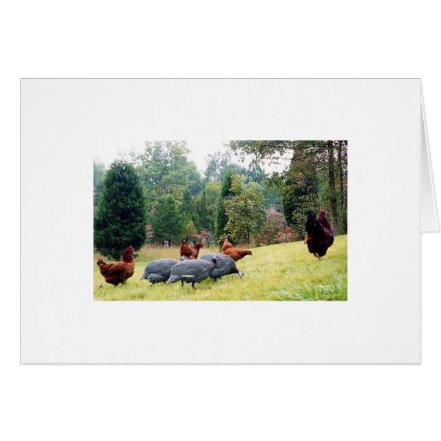 Chester en zijn leger op patrouille (Voorkant Horizontaal)