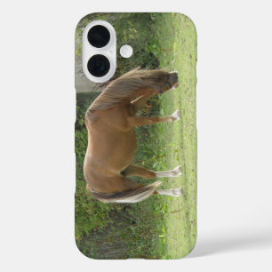 Chesterbruine paard dat graast iPhone 16 hoesje