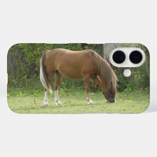 Chesterbruine paard dat graast Case-Mate iPhone case (Achterkant (horizontaal))