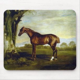 Chesterfield-renpaard in een landschap (George Stu Muismat