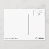 Chesterton Windmill Warwickshire Briefkaart (Achterkant)