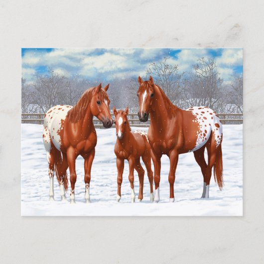 Chestnut Appaloosa Sorrel Quarter Paarden in sneeu Briefkaart (Voorkant)