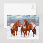 Chestnut Appaloosa Sorrel Quarter Paarden in sneeu Briefkaart (Voorkant / Achterkant)