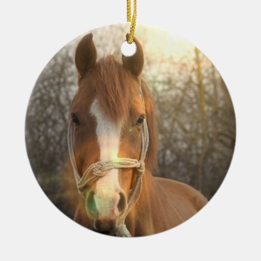 Chestnut Arab Horse Ornament (Voorkant)