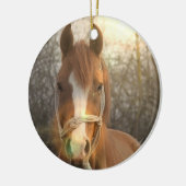 Chestnut Arab Horse Ornament (Links)