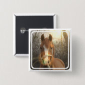 Chestnut Arab Horse Square Pin Vierkante Button 5,1 Cm (Voorkant /achterkant)
