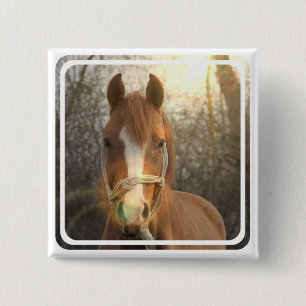 Chestnut Arab Horse Square Pin Vierkante Button 5,1 Cm