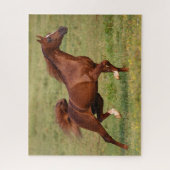 Chestnut Arab Stallion Mane en Tail stromend Legpuzzel (Verticaal)