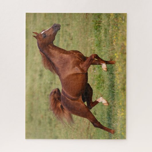 Chestnut Arab Stallion Mane en Tail stromend Legpuzzel (Verticaal)