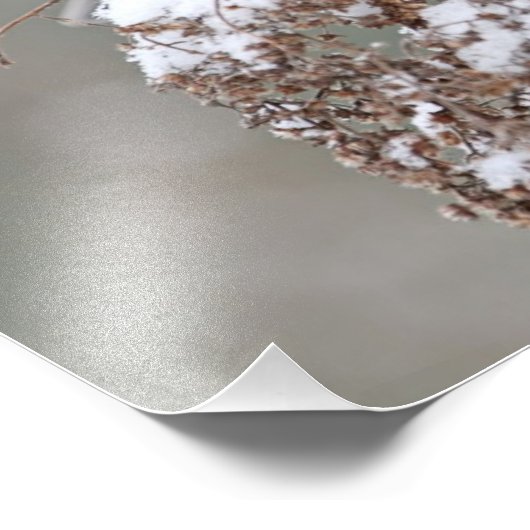 Chestnut Backed Chickadee in de sneeuw Foto Afdruk (Hoek)