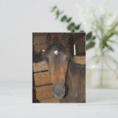Chestnut Barn Horse Fun Briefkaart (Staand voorkant)