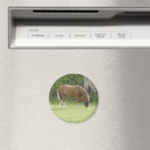 Chestnut Brown Horse Grazing Magnet (Insitu (Vaatwasser))