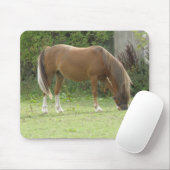 Chestnut Brown Horse Grazing Mousepad Muismat (Met muis)