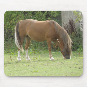 Chestnut Brown Horse Grazing Mousepad Muismat