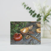 Chestnut (Conker): Herfst is hier Briefkaart (Staand voorkant)