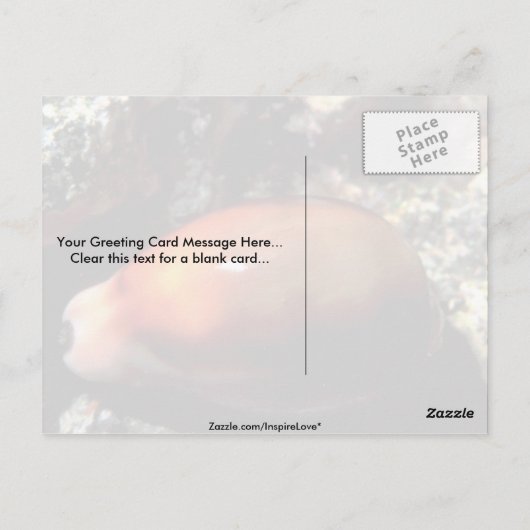 Chestnut cowrie (Cypraea spadicea) Shell Briefkaart (Achterkant)