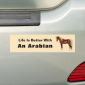 Chestnut Egyptisch Arabisch paard Flaxen Mane & Ta Bumpersticker (Op auto)