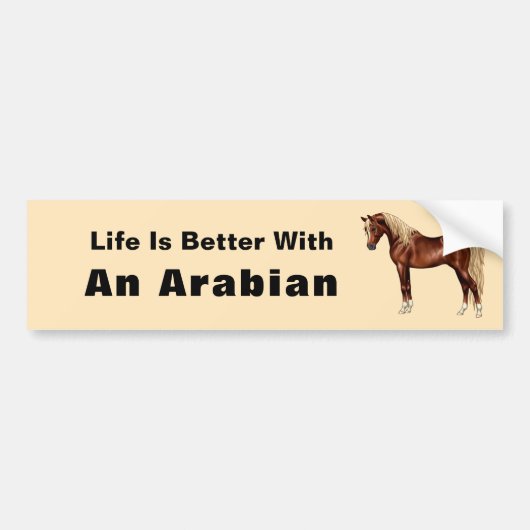 Chestnut Egyptisch Arabisch paard Flaxen Mane & Ta Bumpersticker (Voorkant)