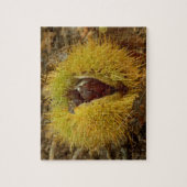 Chestnut Fotopuzzel met cadeaudoos Legpuzzel (Verticaal)