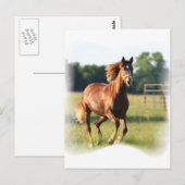 Chestnut Galloping Horse Briefkaart (Voorkant / Achterkant)