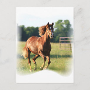 Chestnut Galloping Horse Briefkaart