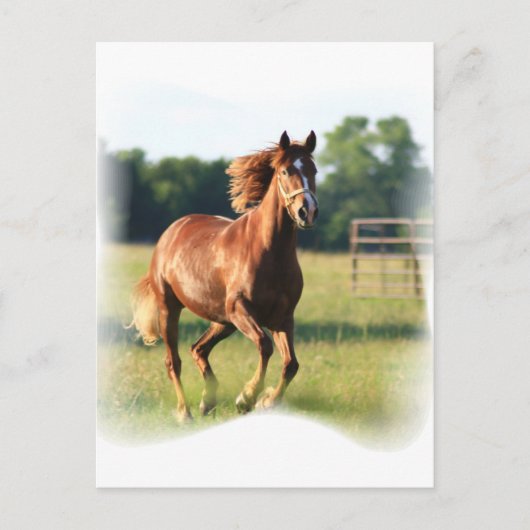 Chestnut Galloping Horse Briefkaart (Voorkant)